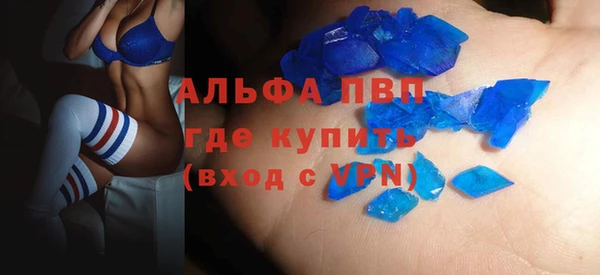 спиды Новозыбков