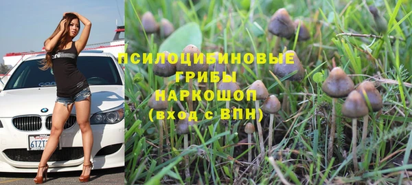 спиды Новозыбков
