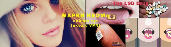 спиды Новозыбков