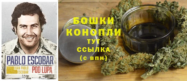 спиды Новозыбков