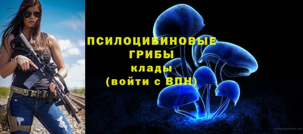 спиды Новозыбков