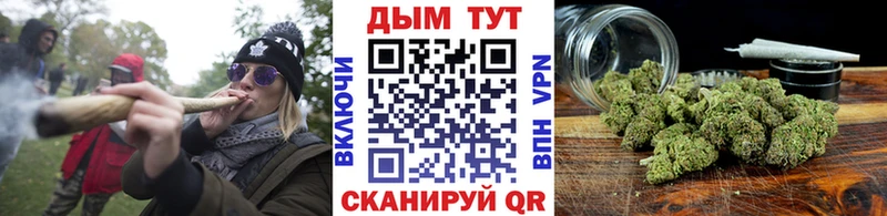 Купить  Камень-на-Оби  Бошки Шишки семена 